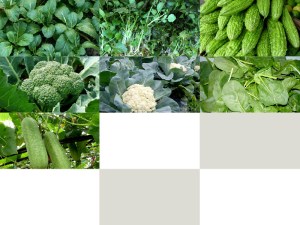 web vegitable pictures