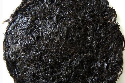 D1F2E62D-416F-4A7F-8747-D0311AF9EC8B