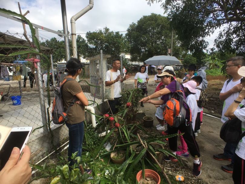 原居民帶你參觀古村和400年的樟樹