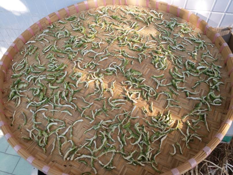 7DE9E9EE-DC7C-4772-ABC5-78DE90F95D03